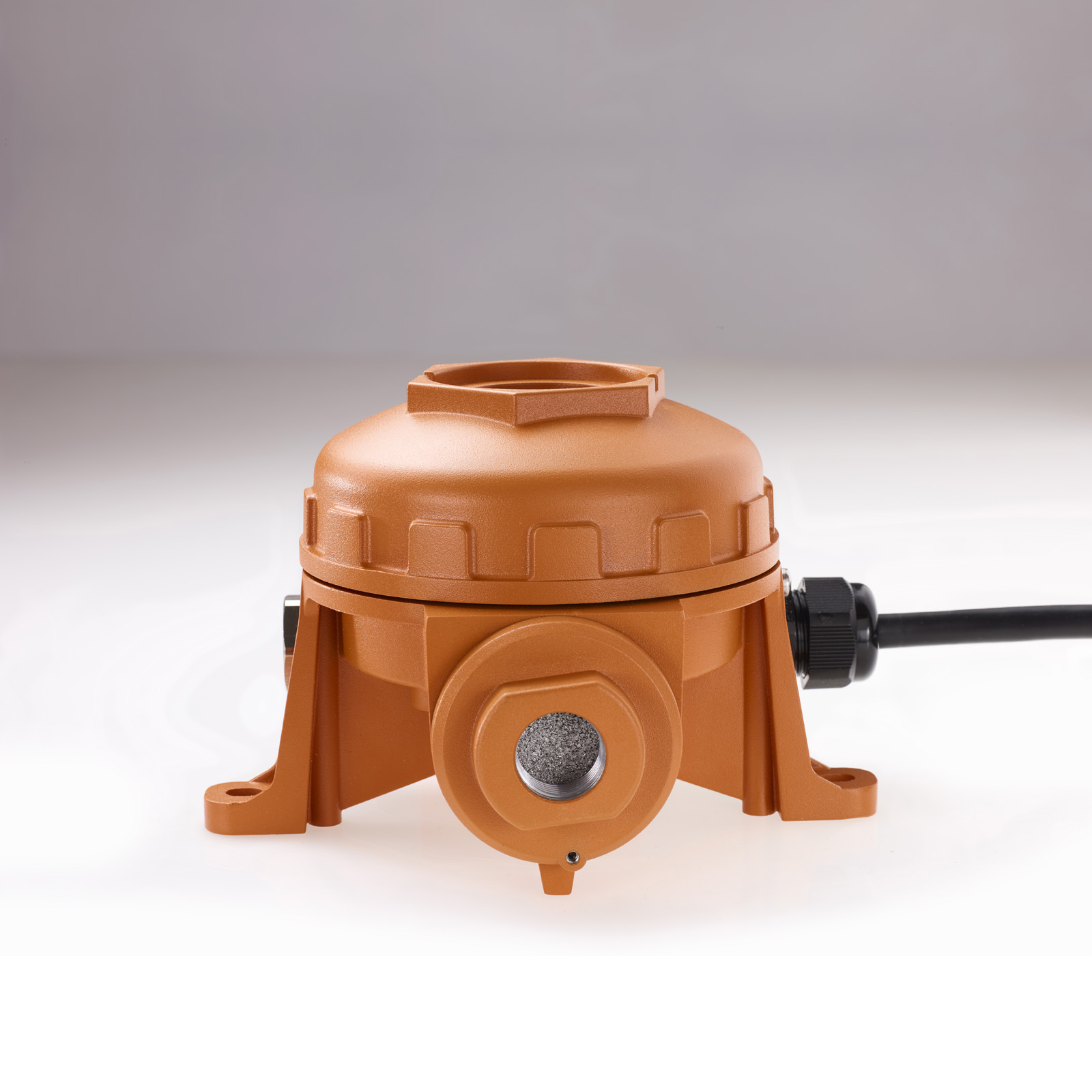 Detector de gases inflamables Xgard Bright - Imagen 3